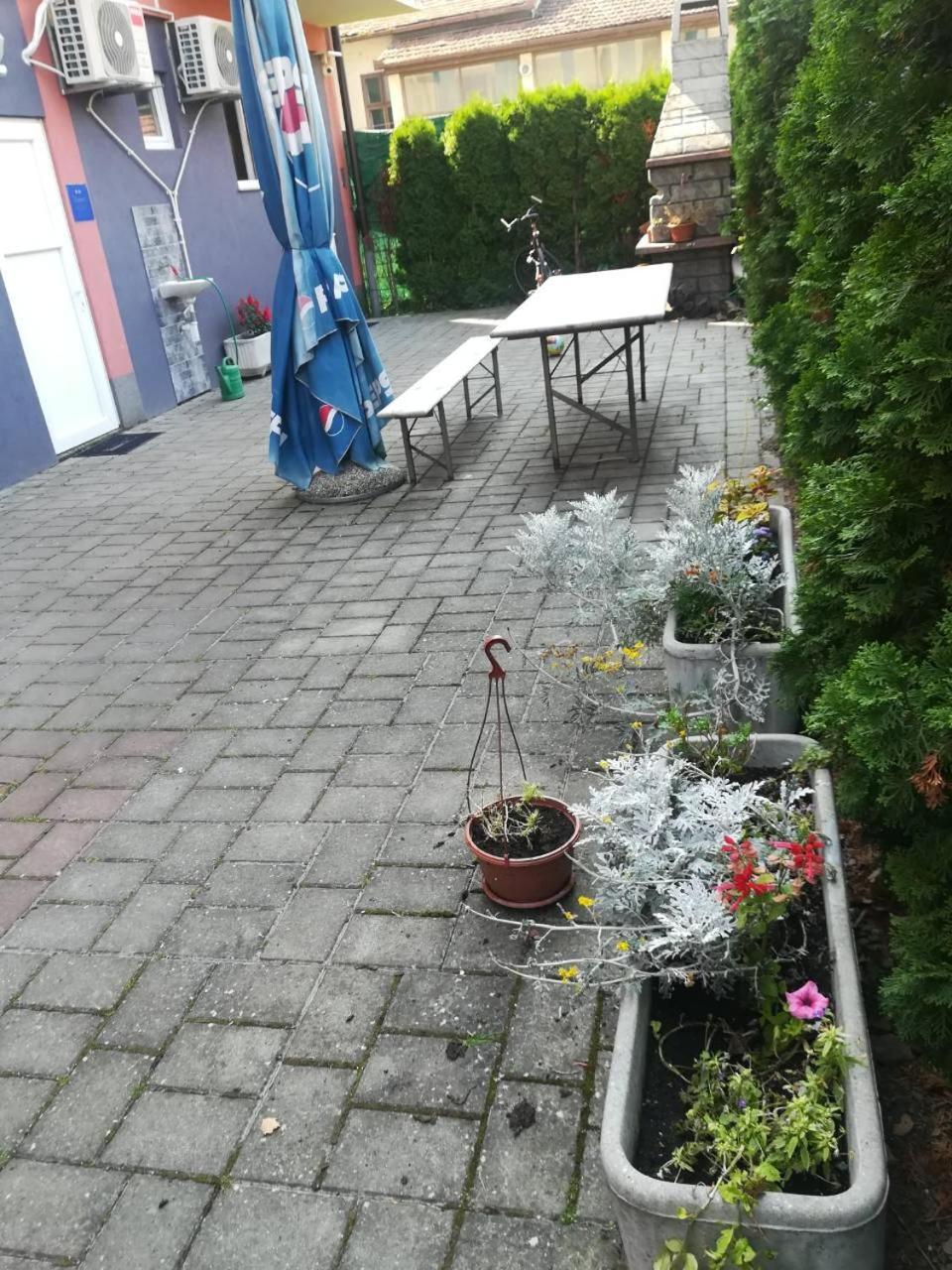 Guesthouse Sava สลาวอนสกีบรอด ภายนอก รูปภาพ