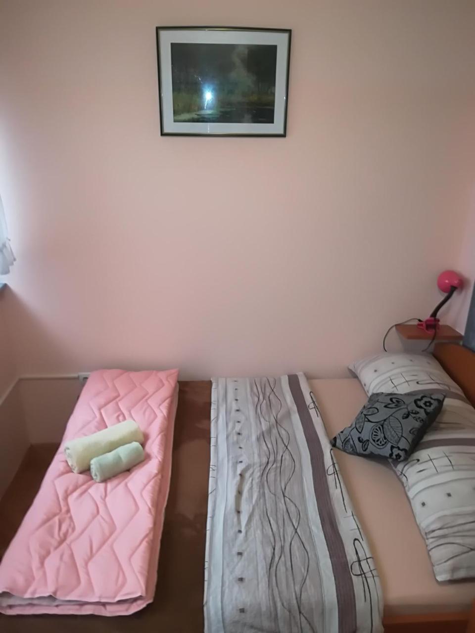 Guesthouse Sava สลาวอนสกีบรอด ภายนอก รูปภาพ