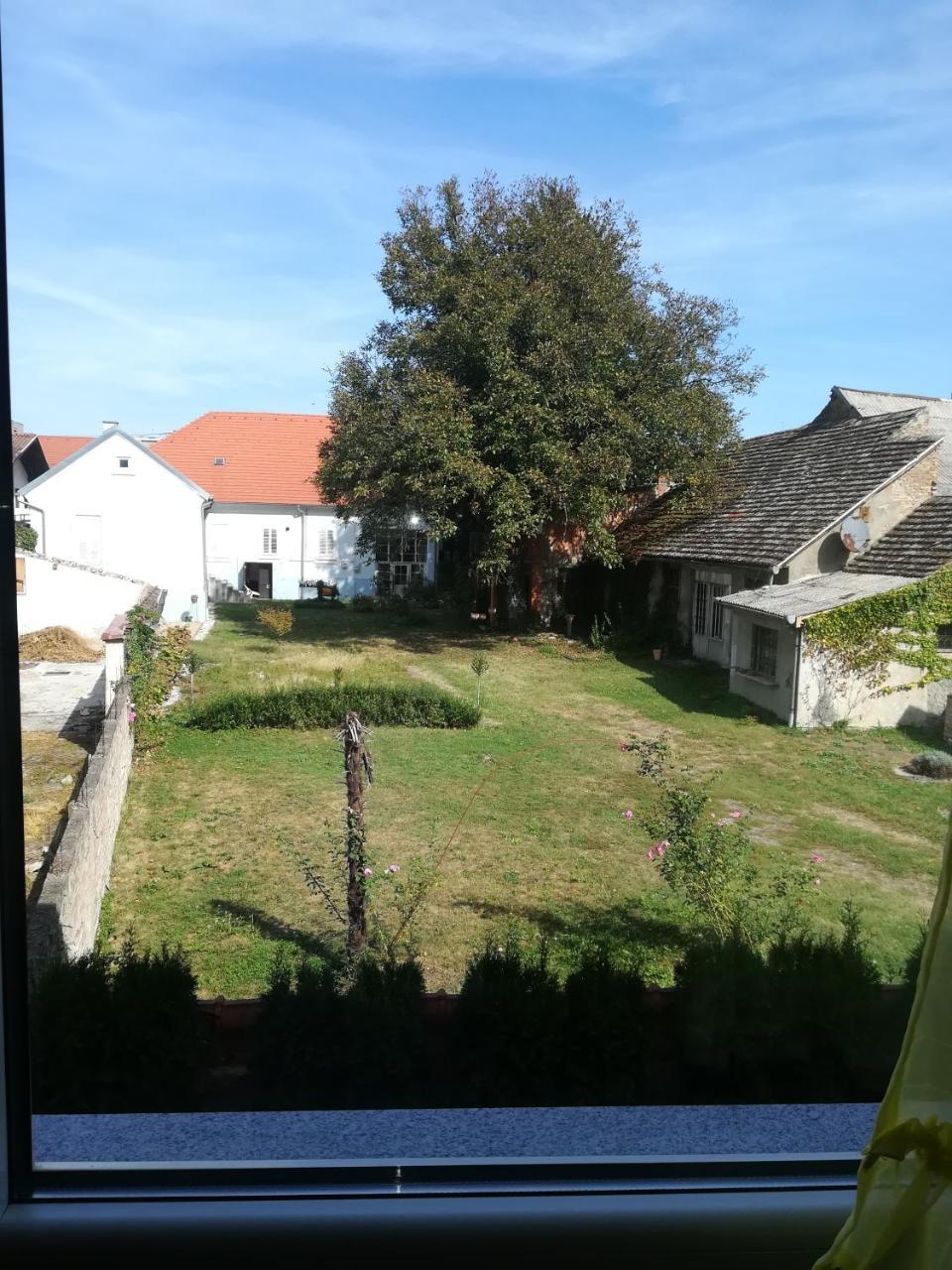 Guesthouse Sava สลาวอนสกีบรอด ภายนอก รูปภาพ